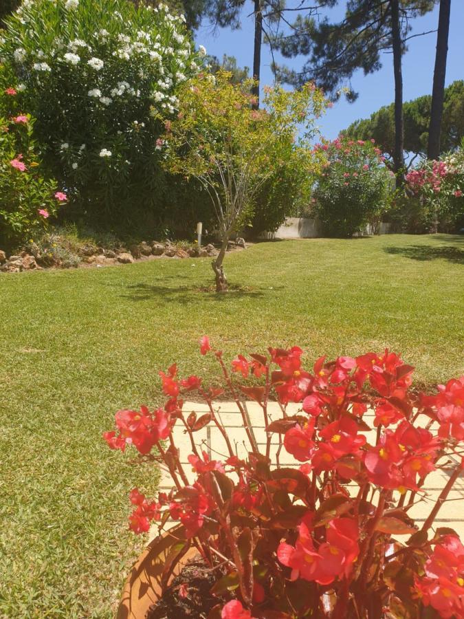 The Pinewood Villa Vilamoura Dış mekan fotoğraf