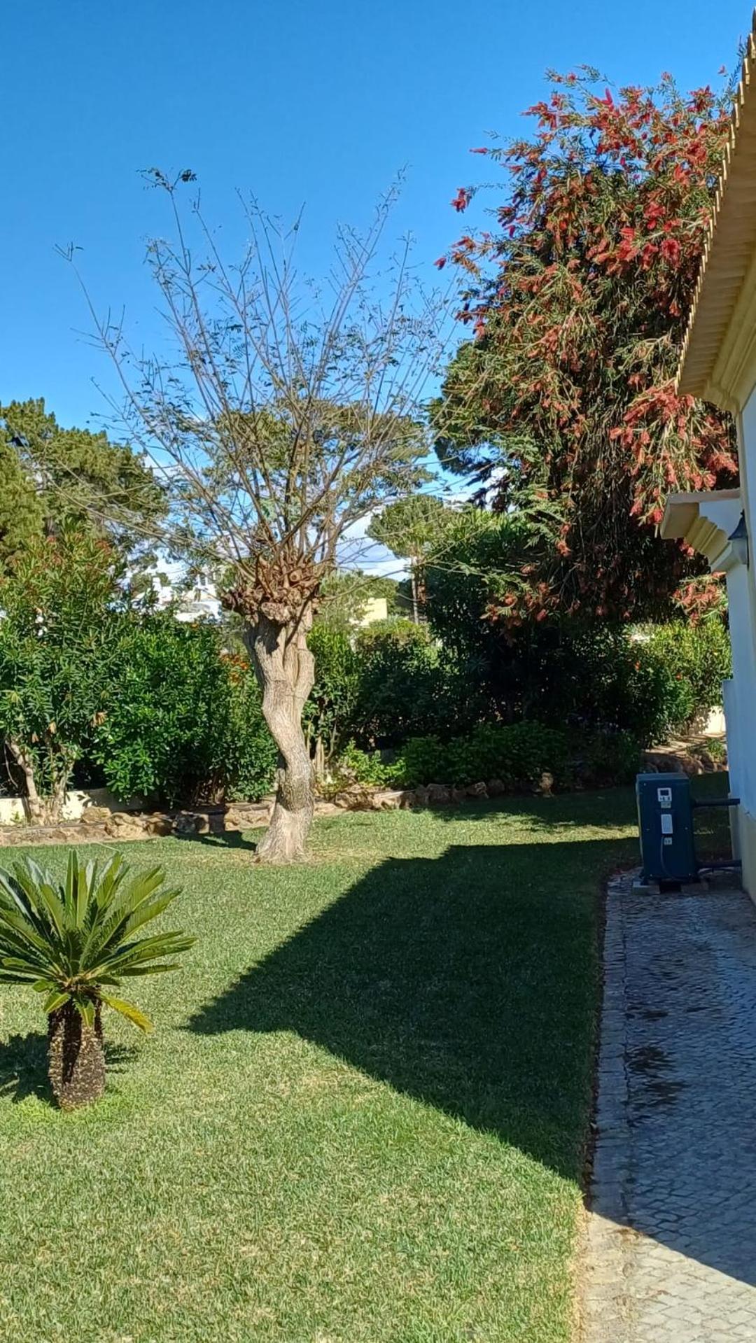 The Pinewood Villa Vilamoura Dış mekan fotoğraf