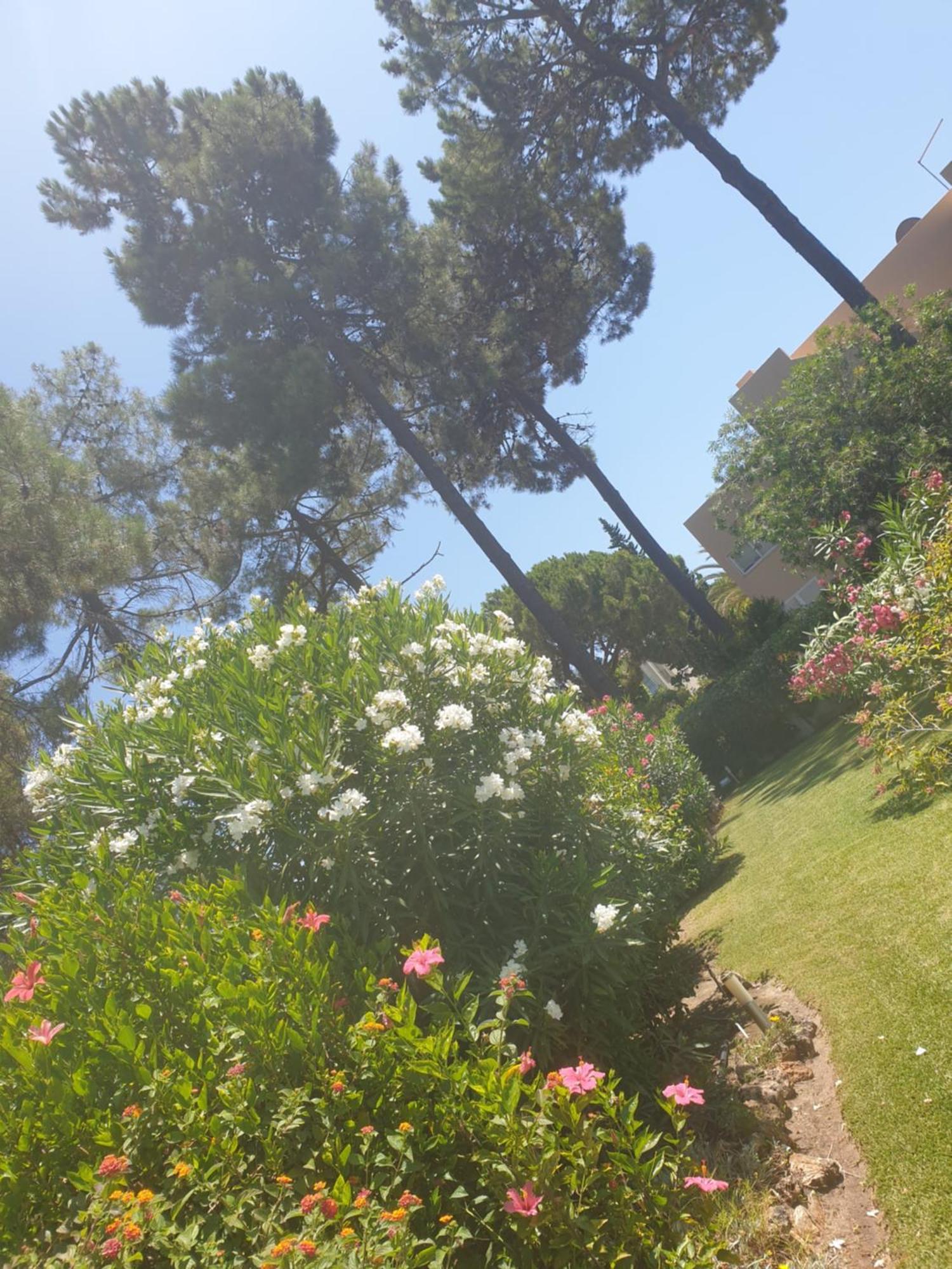 The Pinewood Villa Vilamoura Oda fotoğraf